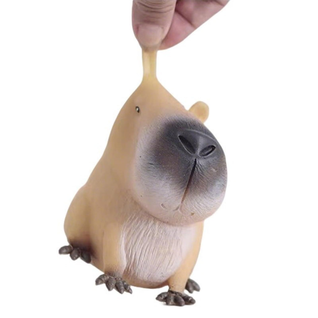 Capybara Squishy Stress Relief Toy, Cute Squeeze Fidget Ball, Soft Animal Sensory Toys
